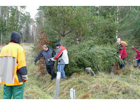 Es weihnachtet in St. Crescentius (Foto: Karl-Franz Thiede)